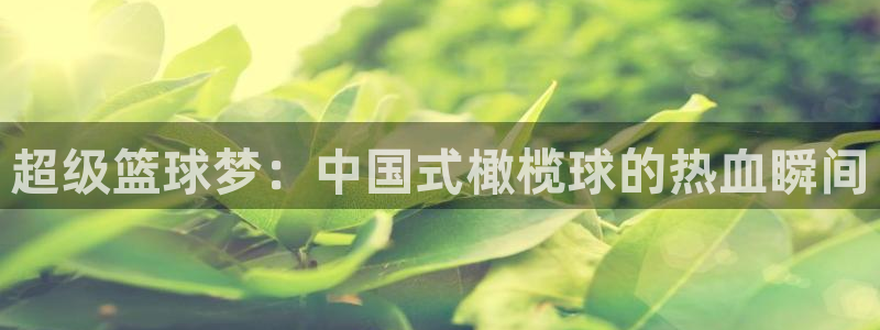 3377体育com：超级篮球梦：中国式橄榄球的热血瞬间