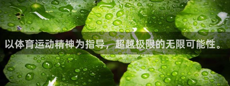 3377体育(中国)官方网站：以体育运动精神为指导，超越极限的无限可能性。