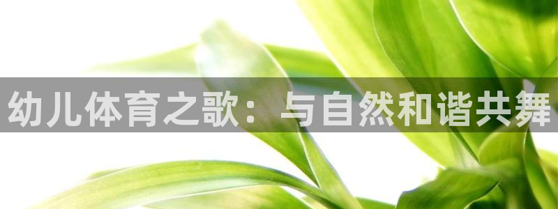 3377体育官网：幼儿体育之歌：与自然和谐共舞