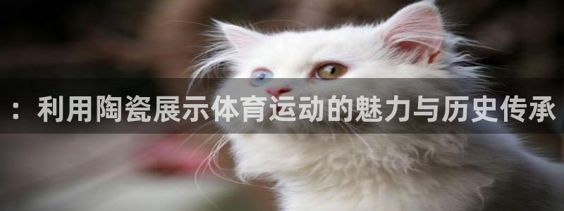 3377体育是正规的吗：：利用陶瓷展示体育运动的魅力与历史传承