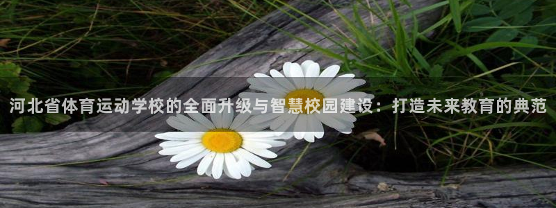 3377体育手机平台：河北省体育运动学校的全面升级与智慧校园建设：打造未来教育的典范