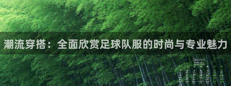 3377体育官网下载：潮流穿搭：全面欣赏足球队服的时尚与专业魅力