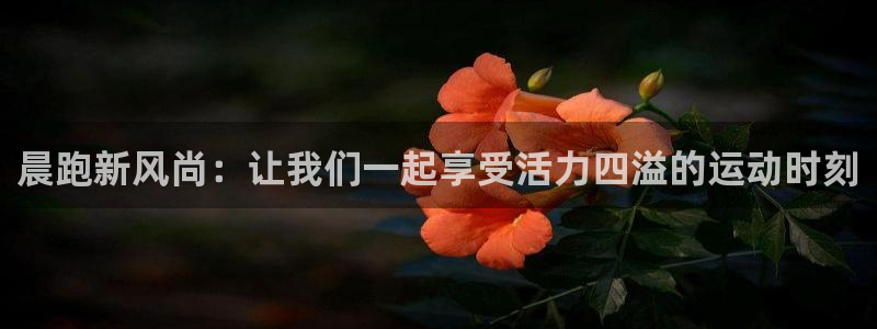 3377体育官网下载：晨跑新风尚：让我们一起享受活力四溢的运动时刻