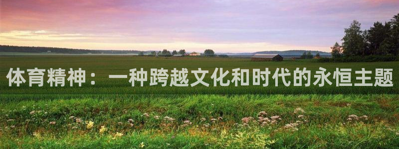 3377体育app官网下载地址