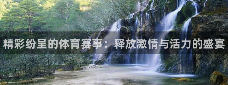 3377体育官网：精彩纷呈的体育赛事：释放激情与活力的盛宴
